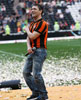 "Donbass Arena" in Donetsk  (2011)