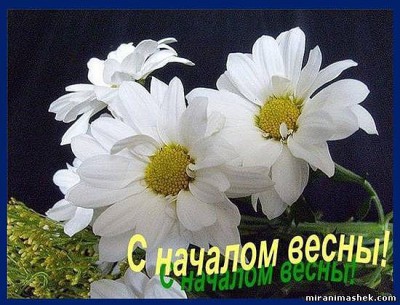 с началом весны.jpg