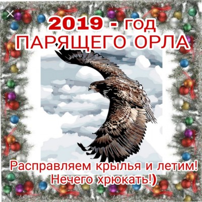 2019-год орла.jpg