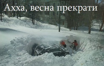 8962.jpeg