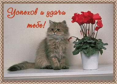 1db955ce237e5eeb8ecdb6156a79e6bf.gif