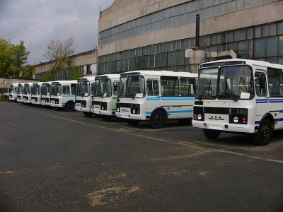 7803.jpg