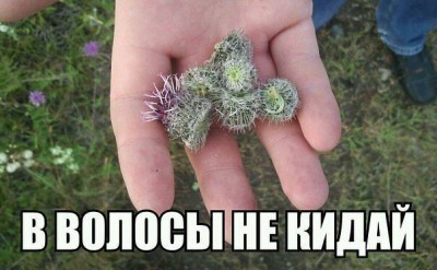 oA9DRF1OKcg.jpg
