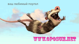 oposum.png