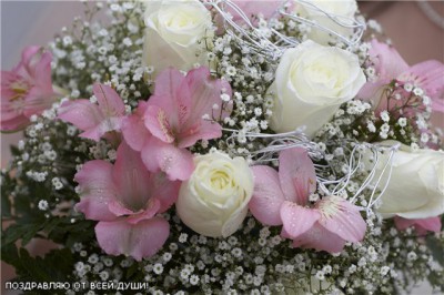 8ae572c92470[1].jpg