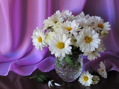gvA4tbBBoDA.jpg