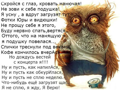 сова1.jpg
