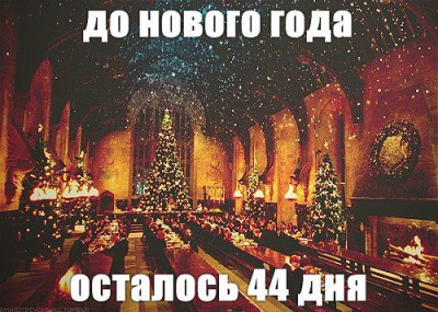 Новый год.jpeg