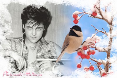 photoramki-online (7).jpg