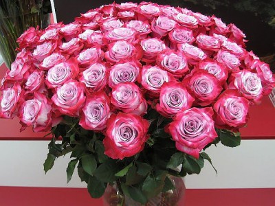 getImage (38).jpg