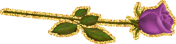 blesk81.gif