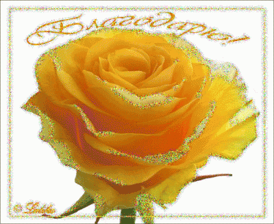 897ca2b2cd6d.gif