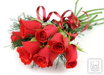 535d283831fce6c6fc8591d80d2081a4.jpg