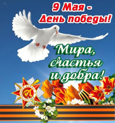 mejbTUo-378.jpg