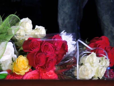 DSCN8121.jpg