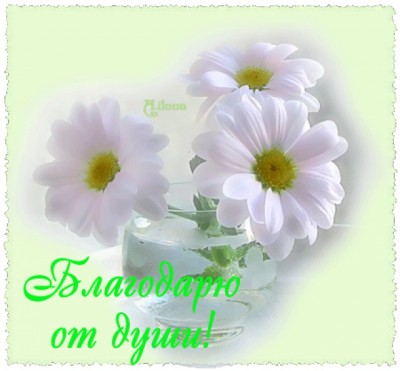 0d7cb9256de35d05ef2bac11576fd703.jpg