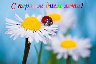 95198753_dfdfffd4.jpg