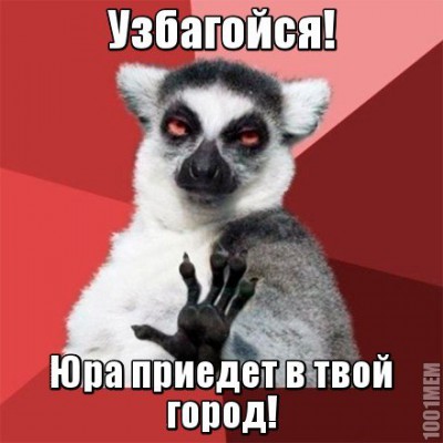 j9JOyi9b19o.jpg