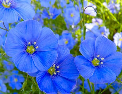 0_44591_d4735f09_-6-L.jpg