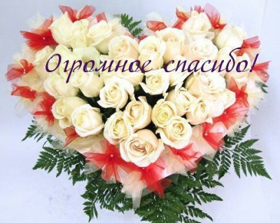 getImage (4).jpg