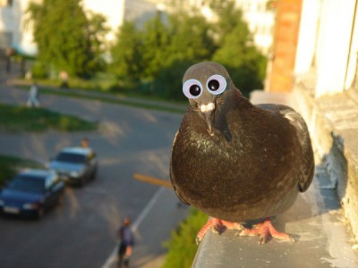 п.jpg
