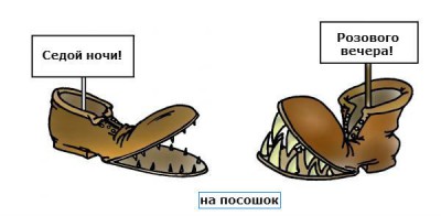 боты.jpg