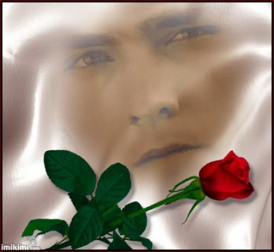 Satin Rose - 2zxDa-xQXs - normal.jpg