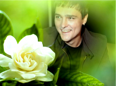 Красота 4.png