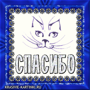 spasibo22.gif