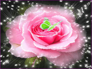 Роза - аним. 1.gif