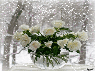 article221772.gif