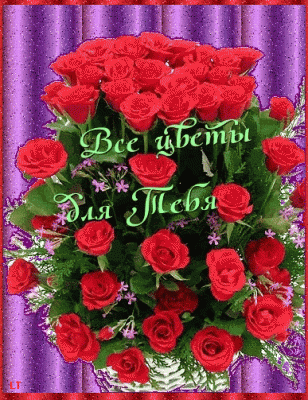 gallery_file_6288_b.gif