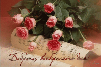 image_1826.gif