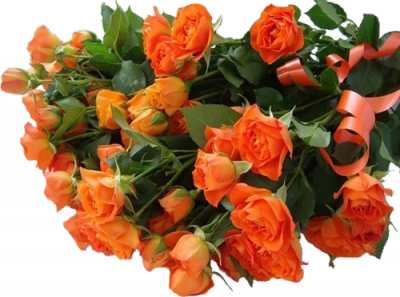 93211460_0_86689_24ccb3b7_L.png