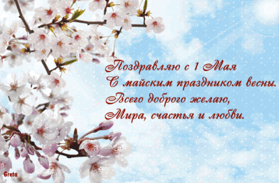 5001808.gif