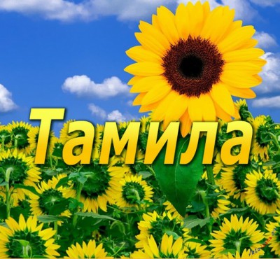 tamila-9698.jpg