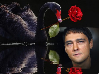 18162039_webka.jpg