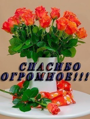 GoyyUIj1hF0-1.jpg