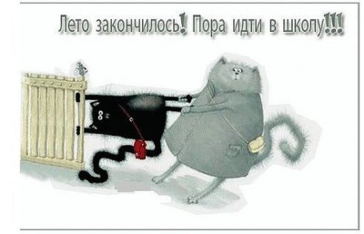 YAvMg7LzLNo.jpg