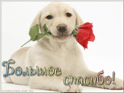 qYwKGD8q (1).gif