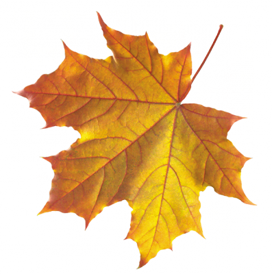 148.png