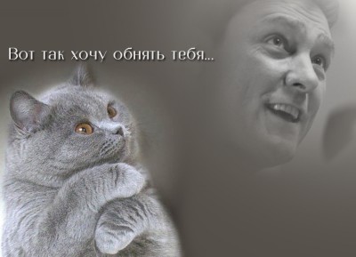 222d77e4.jpg