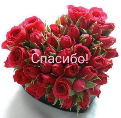 41sErqC-3g0-3.jpg