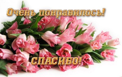 feHbXpTtHqQ-1.jpg