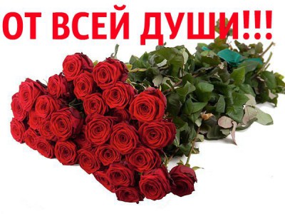x19dOY0K5uw-1.jpg