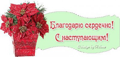 NHabwIlkDKU-1.jpg