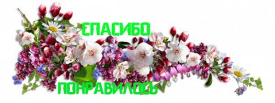 ZzMIEZQakf8.jpg