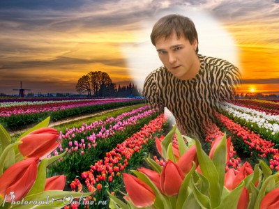 photoramki-online (12).jpg