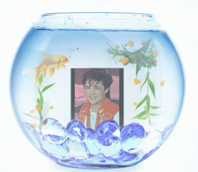 4d1b3478-b416-4b21-9239-3fbe6dea04ef.gif