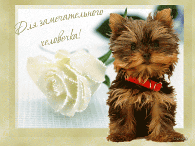 797651.gif